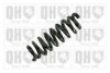 BMW 33532283961 Coil Spring